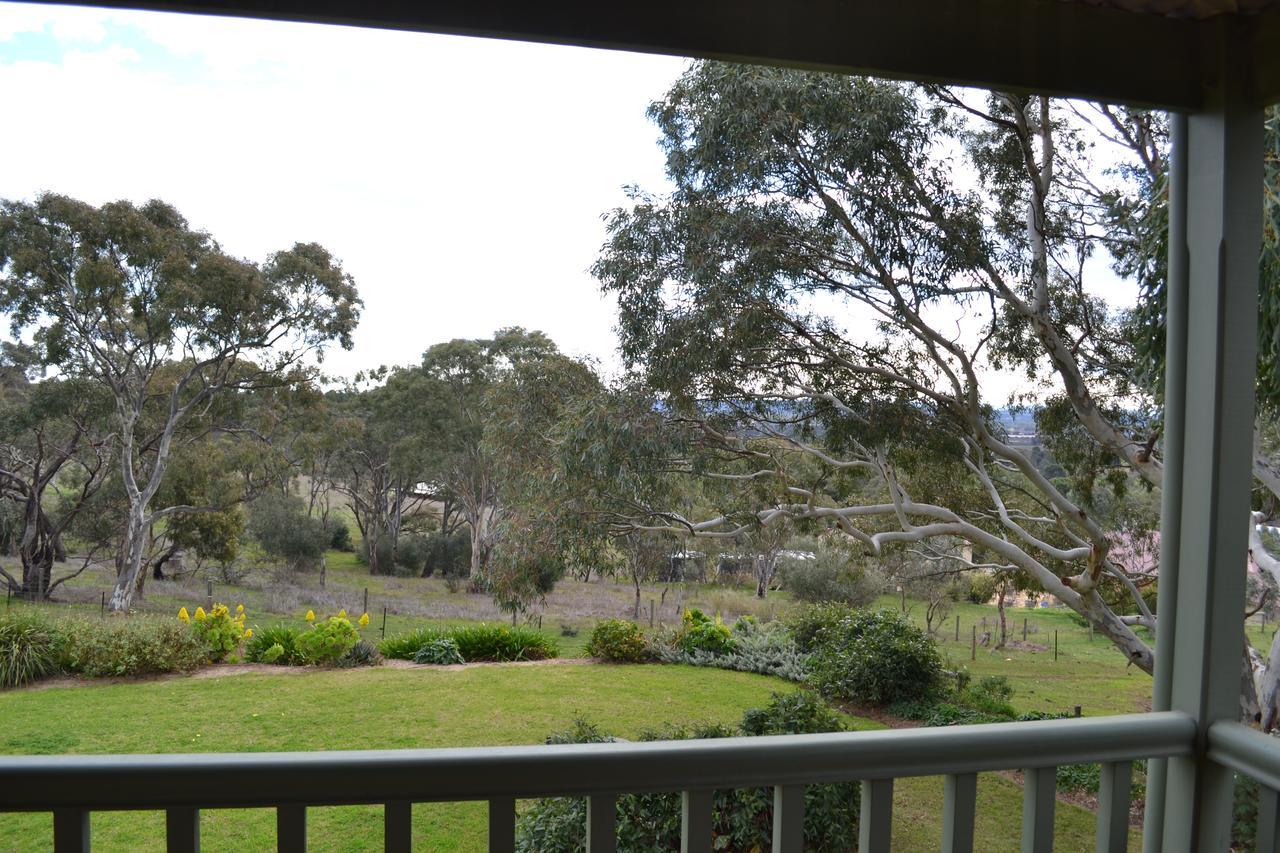 Angaston Saleyards Luxury Accommodation Buitenkant foto