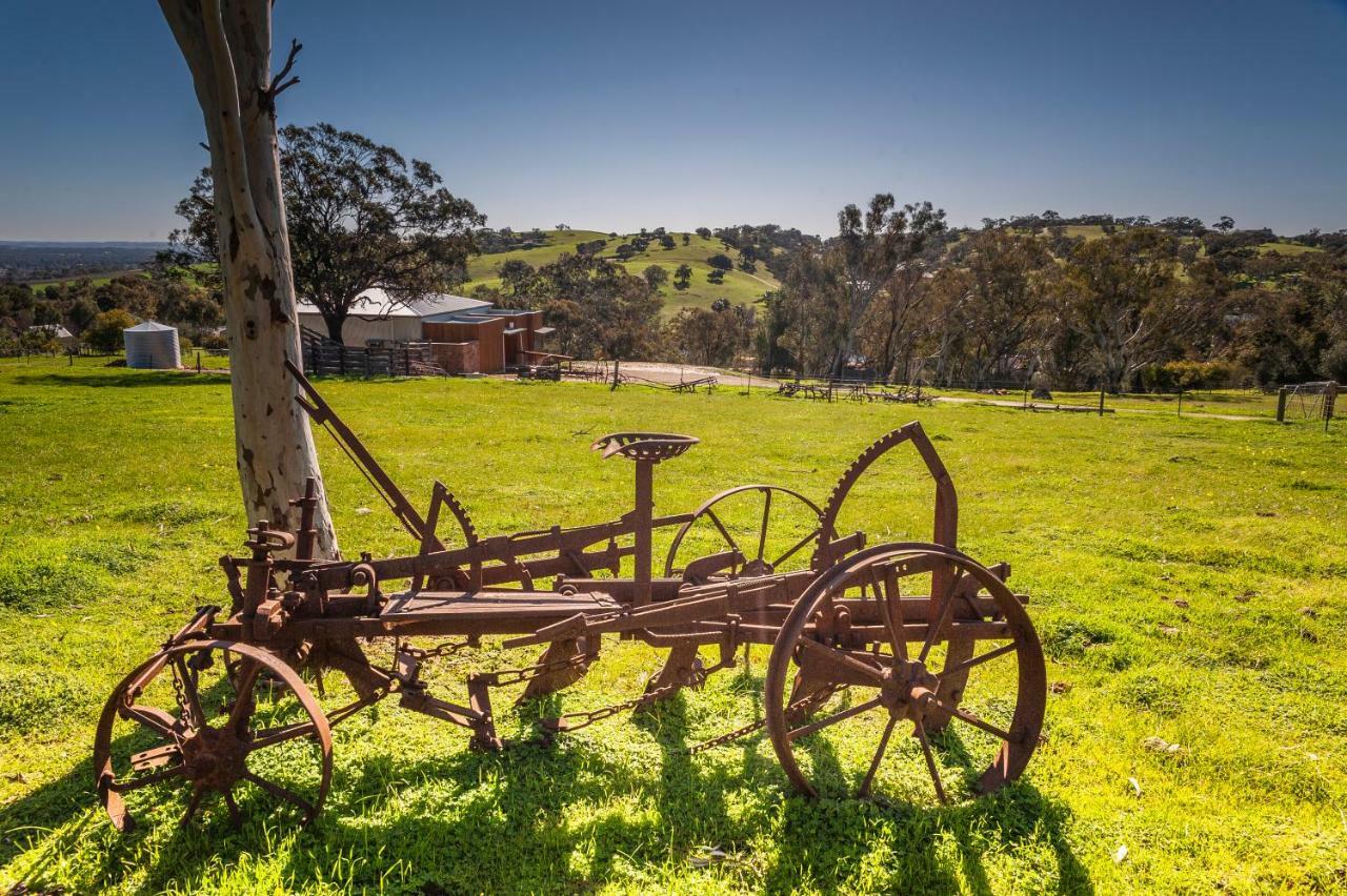 Angaston Saleyards Luxury Accommodation Buitenkant foto